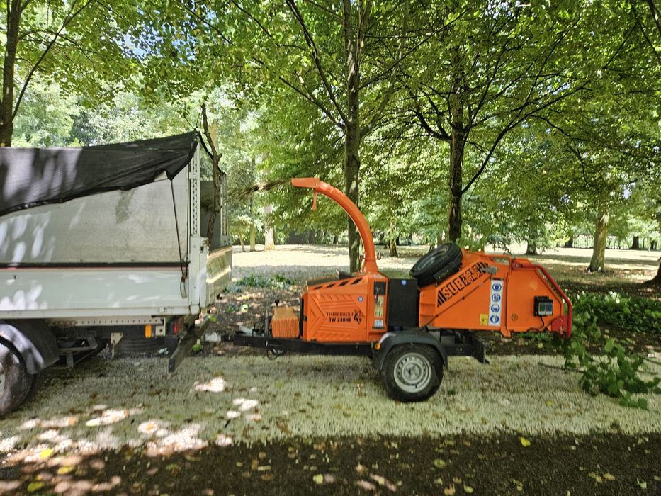 Poda de arvores e limpeza de terrenos