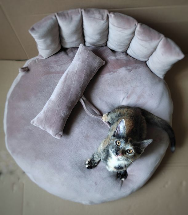 Лежанка  для котів та собак