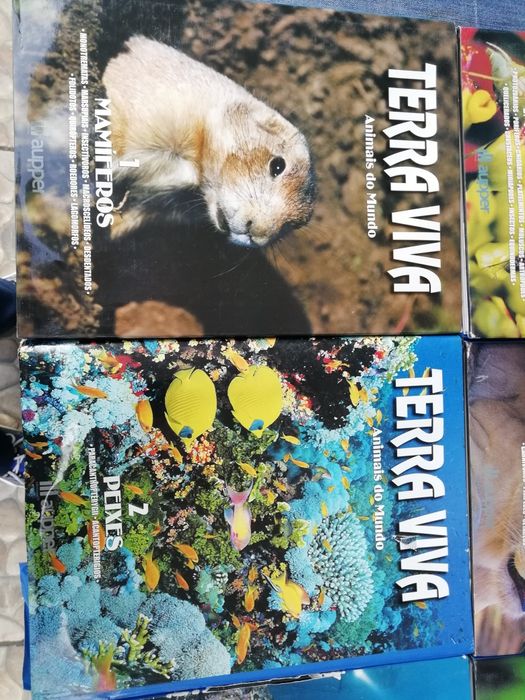 8 Lindos Livros Animais do Mundo