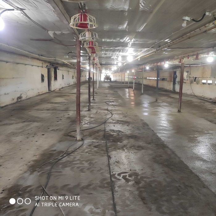 Sprzedam Kurnik Magazyn Hale Stadnina z dużą działka przy A18