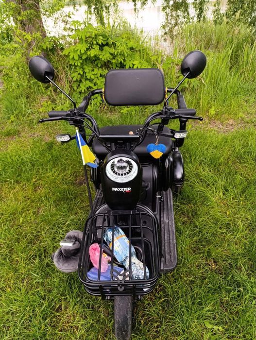 Еоектороскутер Maxter ANT