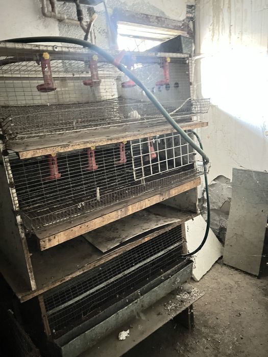 Продам клітки для перепілки