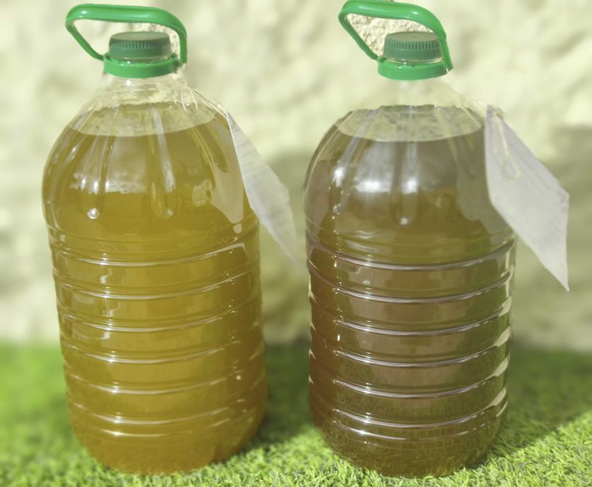 Azeite Virgem Extra Artesanal da Beira Baixa – Campanha 2025/2026