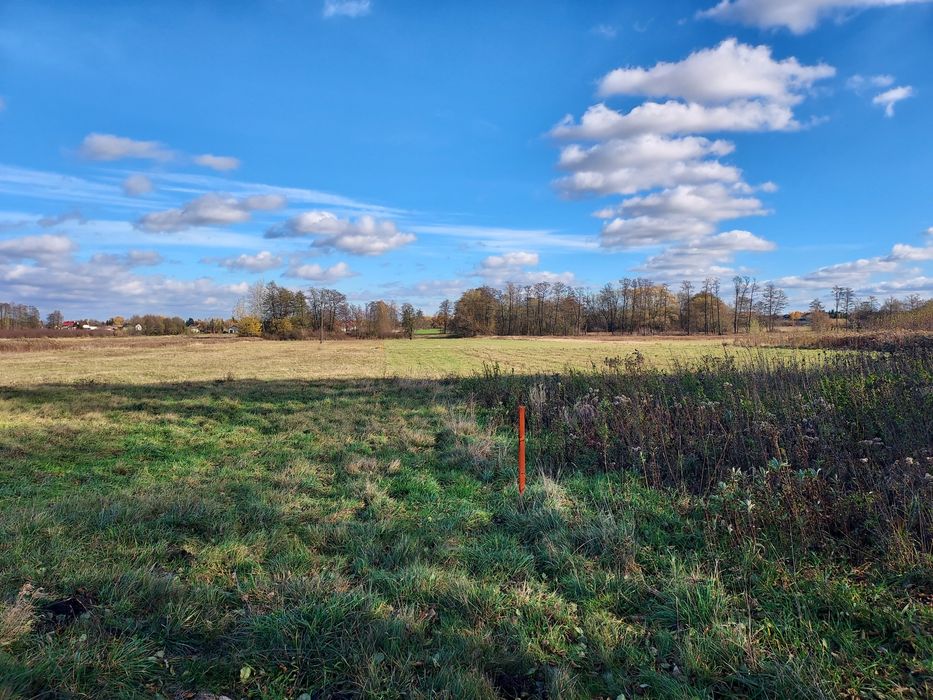 Działka budowlana Hipolitów gm. Chynów bezpośrednio - Widok 4