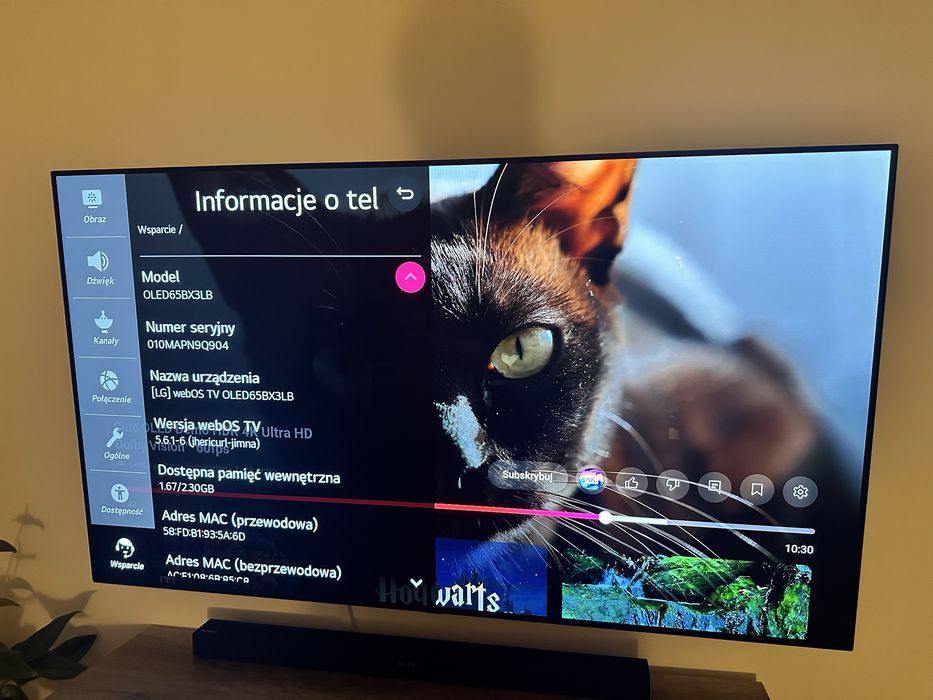 TV LG OLED 65" 4K 100Hz OLED65BX3LB bez wypaleń