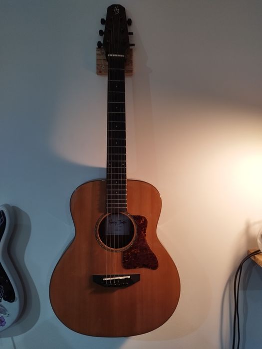 Harley benton travel Guitar
