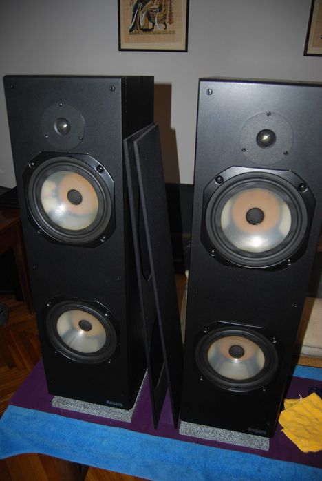 Kolumny podłogowe Rogers LS8a