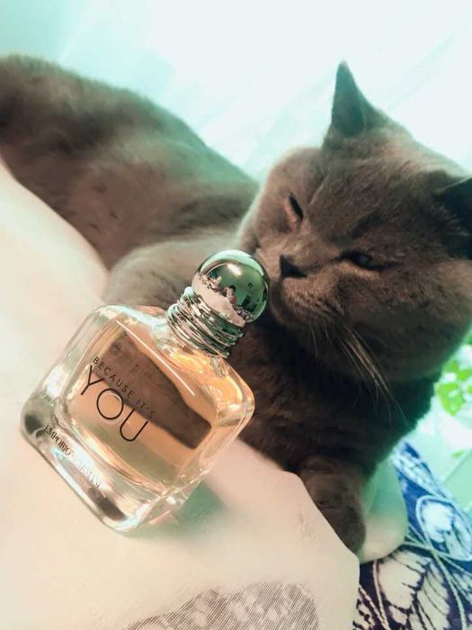 Armani BECAUSE IT'S YOU perfume 100ml
