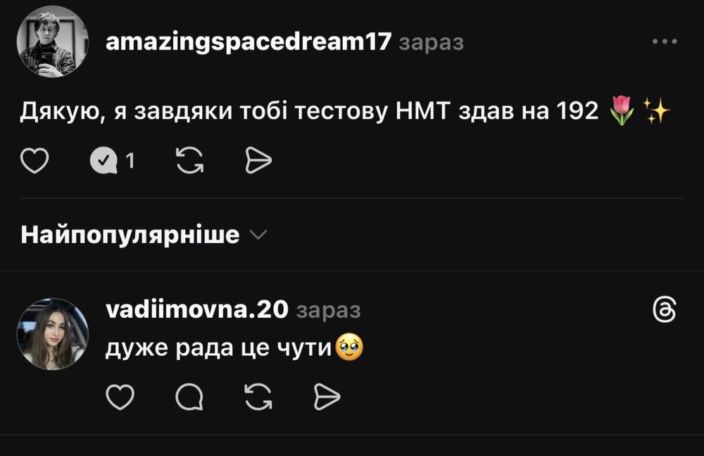 Підготовка до НМТ: українська та історія | результат 195+