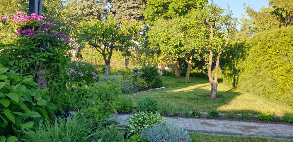 REZERWACJA Zadbana Działka ROD "Relax" Swarzędz - 336 m² - domek po remoncie + wyposażenie, gotowa do wypoczynku, zadbany ogród - Widok 4