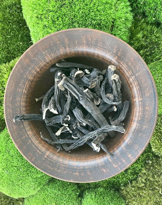 живокост, корень живокоста, окопник, живокіст, корінь