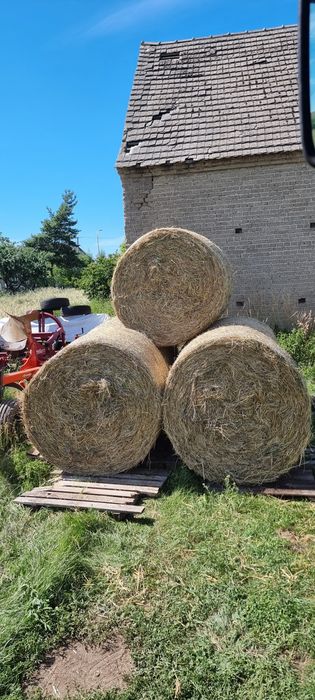 Siano tegoroczne  TRANSPORT w Cenie