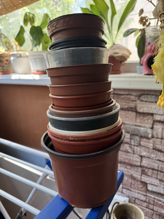 горшки для цветов/ рассады б/у