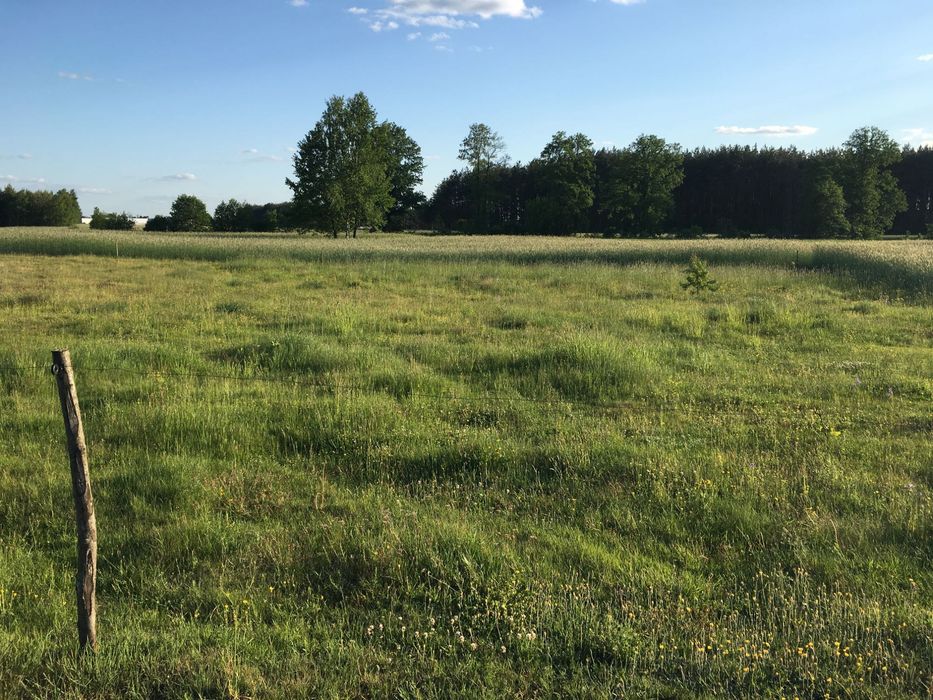 Działka rolna 1600 m² blisko Narwi | Natura 2000 | cisza i piękna okolica