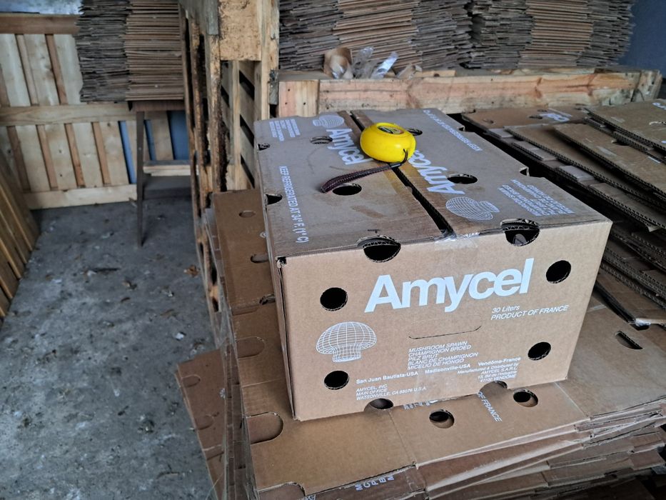 Kartony używane 50x35x23 klapowe