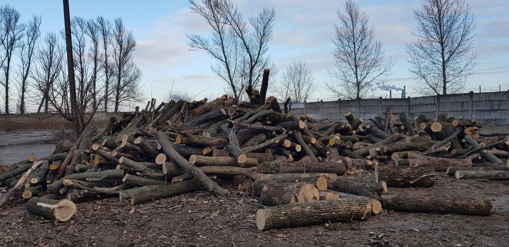 Дрова Акация цена 2500грн м3