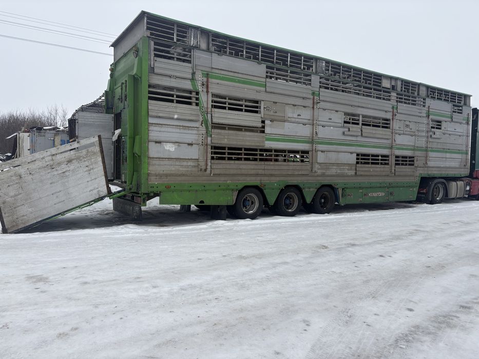 Послуги скотовоза / перевезення худоби( свині, ВРХ та МРХ)