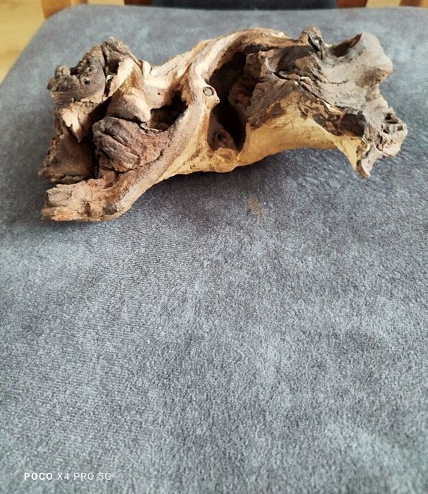 Dekoracja, Korzeń do akwarium / terrarium – atrapa