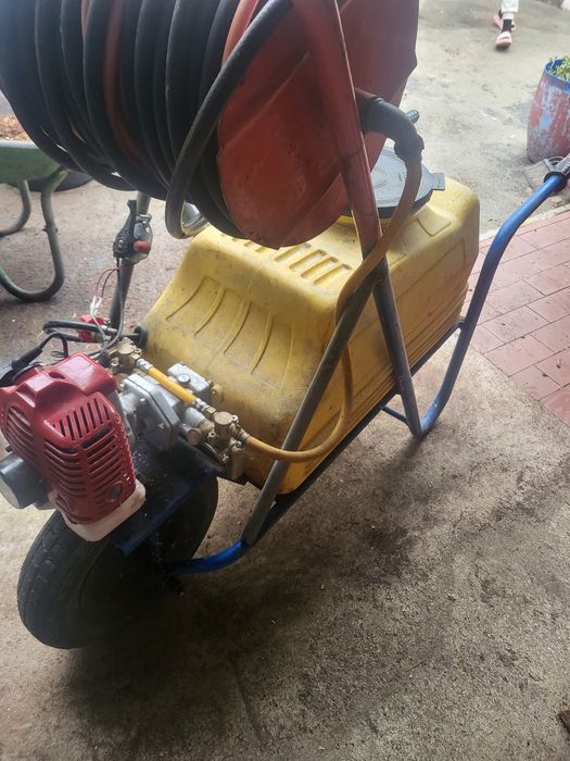 Máquina de curar