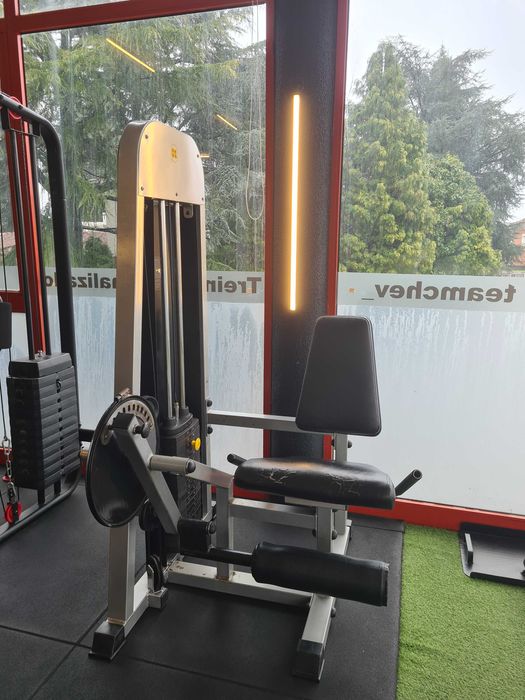 Cadeira extensora Ffitech