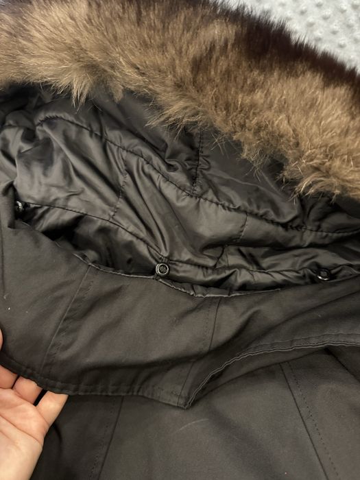 Парка песец зима