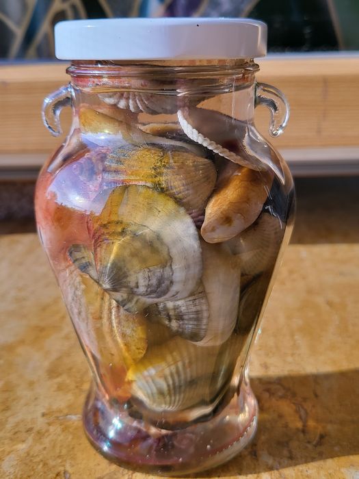 Морской подарок с ракушками