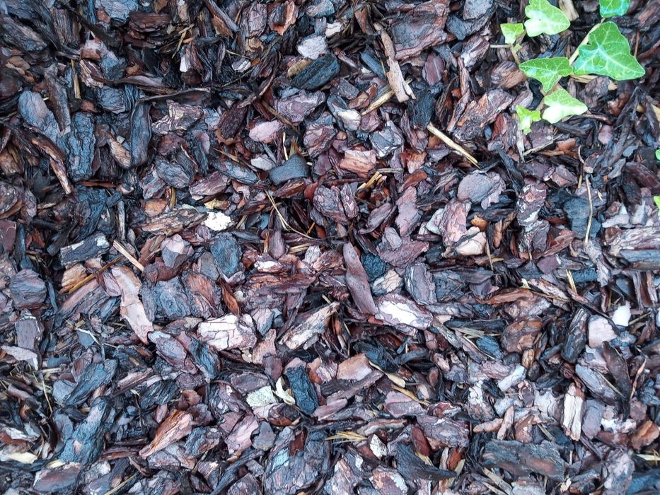 Kora sosnowa żwir ozdobny układanie kostki brukowej