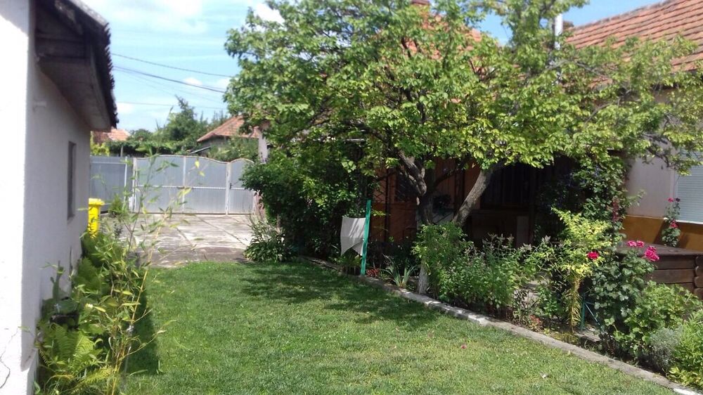 Сдается частный дом без хозяина (г. Берегово, Закарпатская обл.)