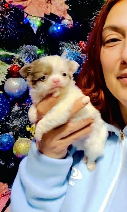 Мальчишечка супер мини