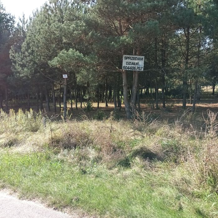 Działki budowlane z warunkami zabudowy 1800 m - Więcej