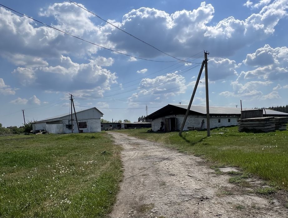 Ферма для утримання свиней діюча