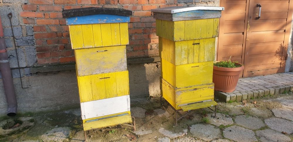 Sprzedam Ule Wielkopolskie