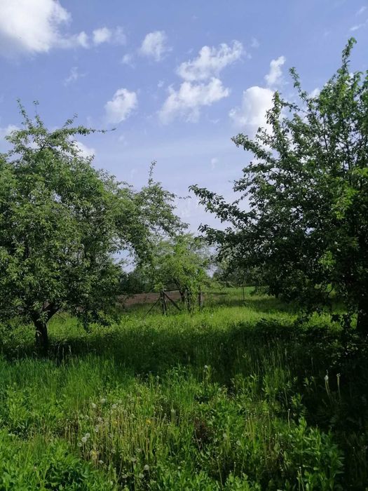 Продам будинок в с. Любча Білоцерківського району