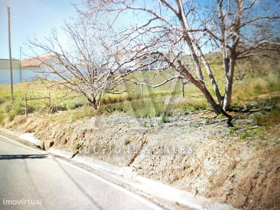 Terreno _ Batalha