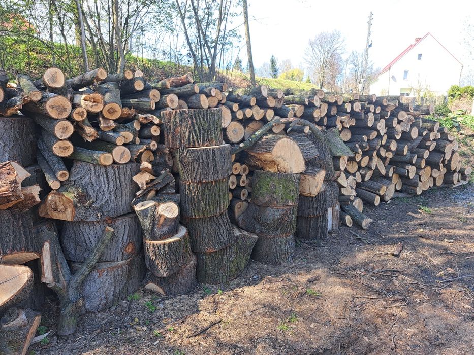 Drzewo na opał, dąb, klon, lipa.