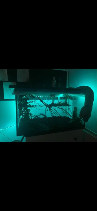 Sprzedam terrarium/akwarium