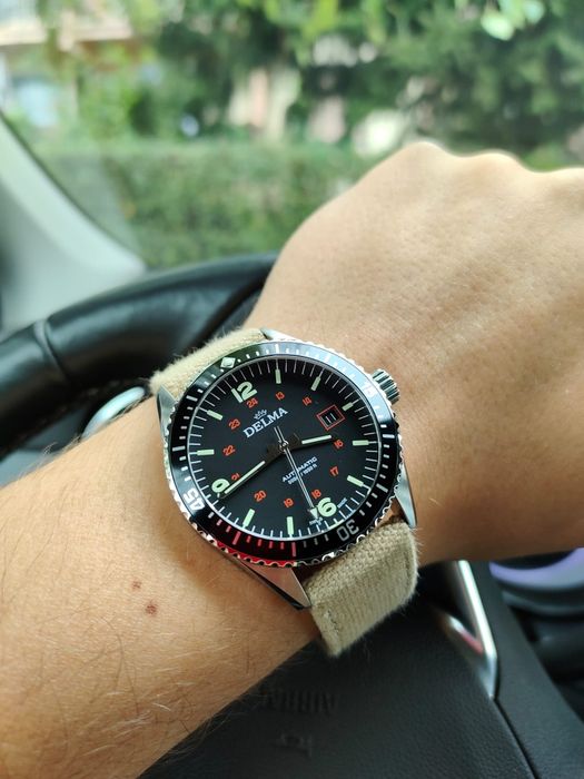 Delma Cayman Automatic
