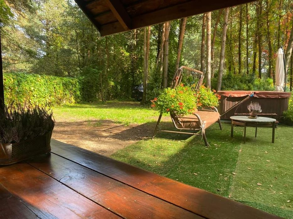 Domek letniskowy pod Sosnami nad Zalewem Ostrowy