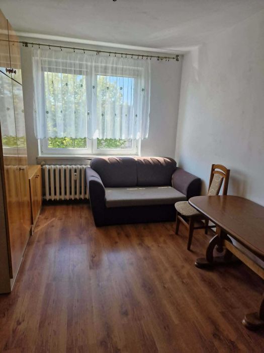 Mieszkanie do wynajęcia w okazyjnej cenie