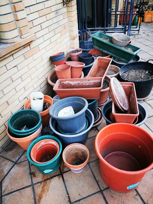 Inúmeros vasos em plástico - vários modelos e tamanhos