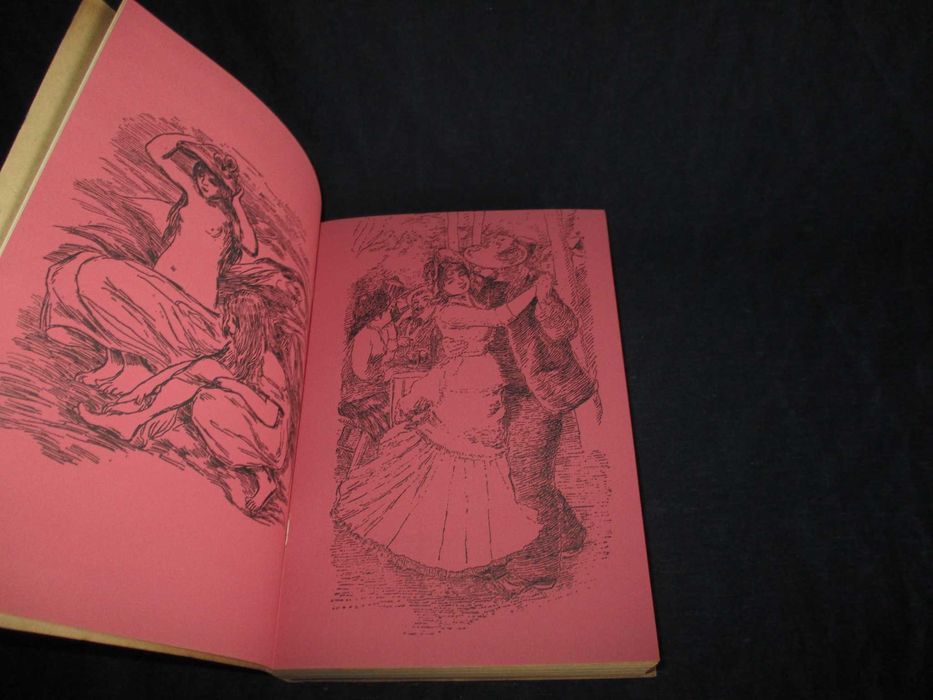 Livro A Vida de Renoir Henri Perruchot