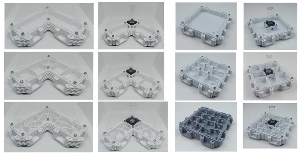 Модульний формікарій, мурашина ферма