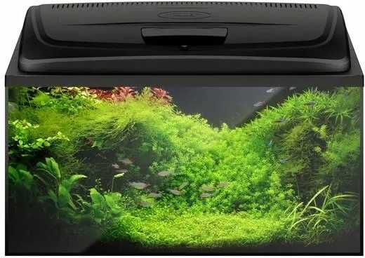 Aquael Classic Box 80 Akwarium proste + pokrywa LED D&N