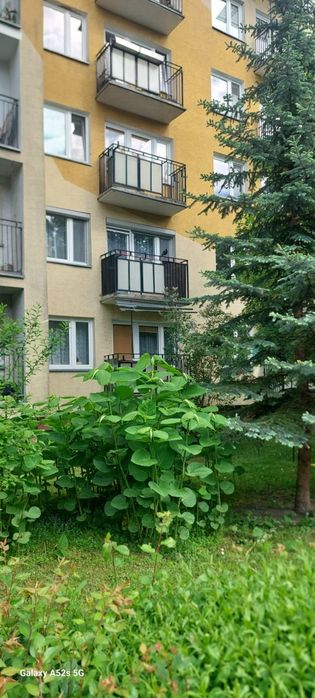 Parter,  3 pokoje z balkonem, Biała Podlaska