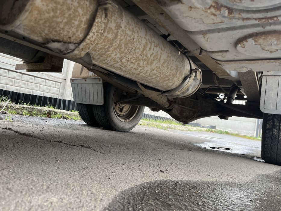 Газель  як нова