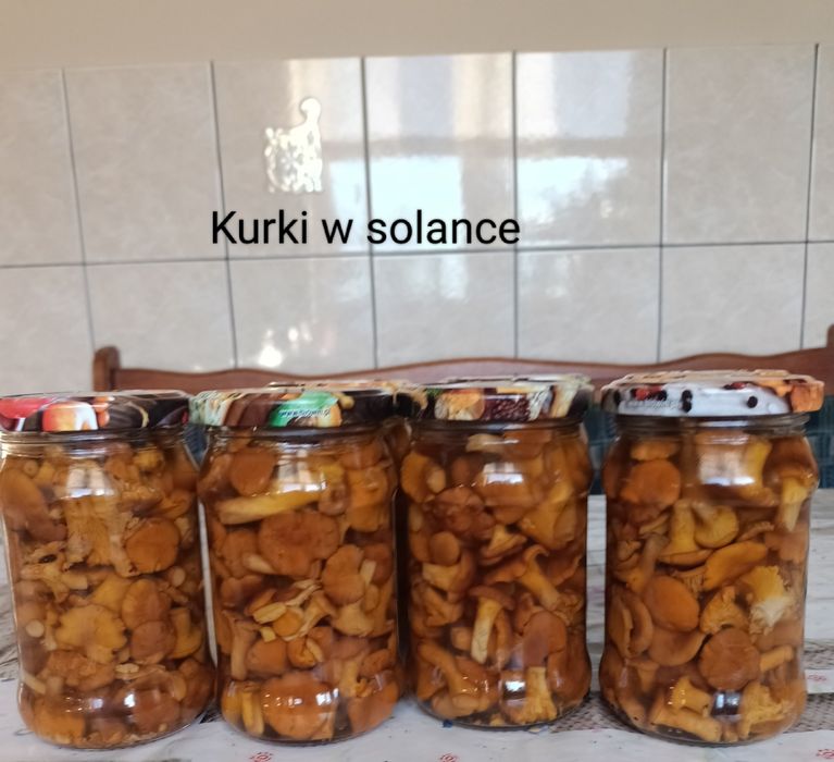 5 słoików kurek w solance 320ml