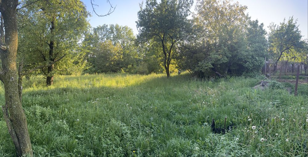 Продаж глиноб. будинку, 25 сот.с. Давидківці вул. Сонячна