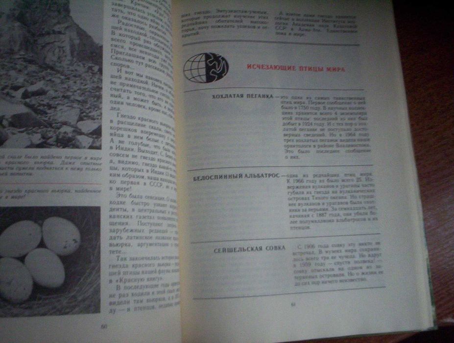 Розовые чайки и черные журавли. Книга о редких птицах Детлит 1985