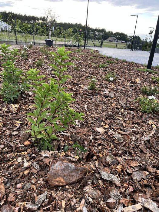 Kora ogrodowa ! Worki 80L ! Transport