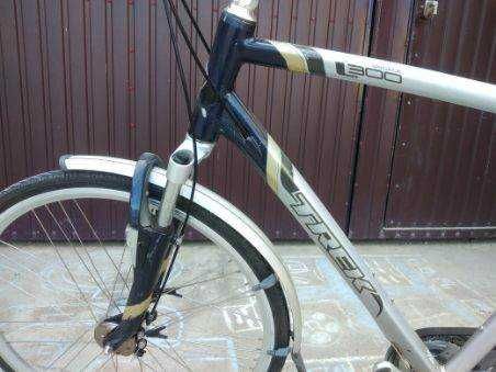 Rower model Trek L300